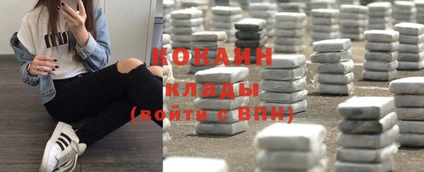молекула духа Арсеньев