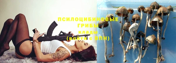 Альфа ПВП Аркадак