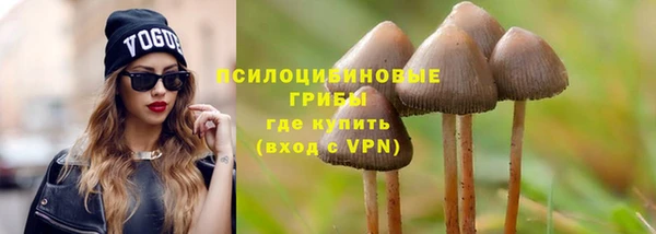 молекула духа Арсеньев