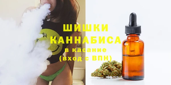 apvp Михайлов