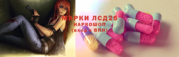 молекула духа Арсеньев