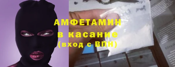 молекула духа Арсеньев