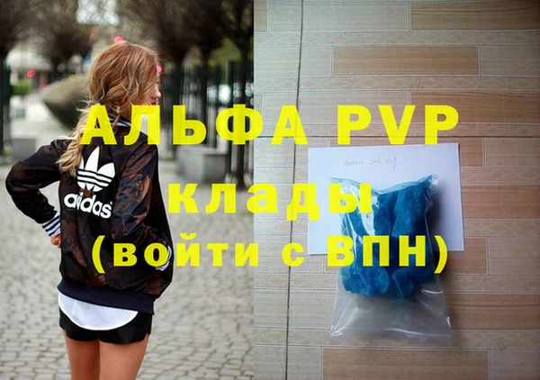 молекула духа Арсеньев