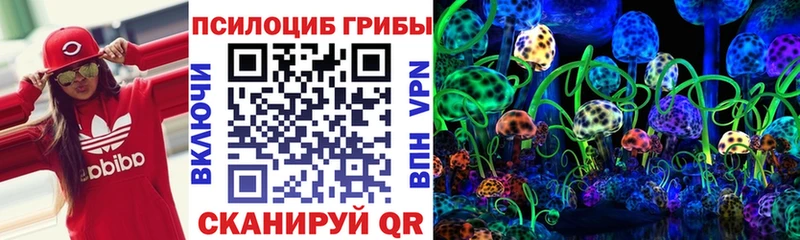 Галлюциногенные грибы мухоморы  сайты даркнета наркотические препараты  Биробиджан 